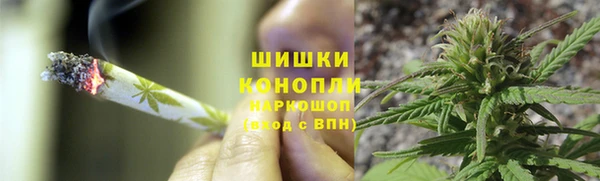 spice Елизово