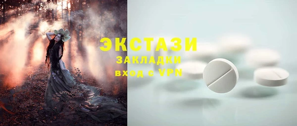 молекула духа Ельня