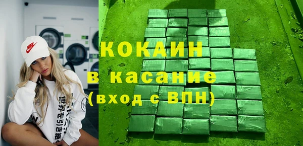 молекула духа Ельня