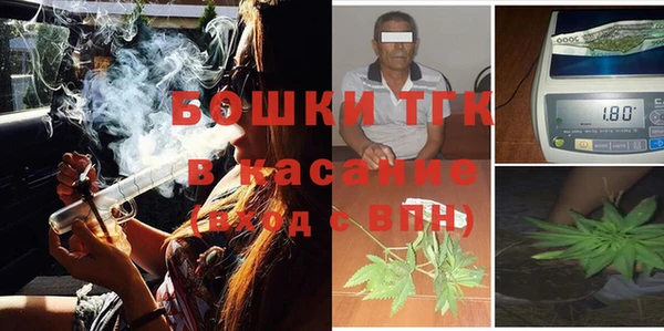 молекула духа Ельня