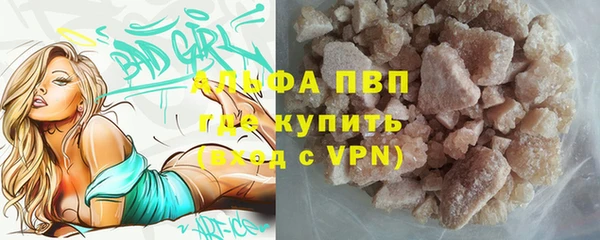 spice Елизово