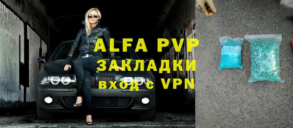 молекула духа Ельня
