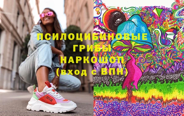 spice Елизово