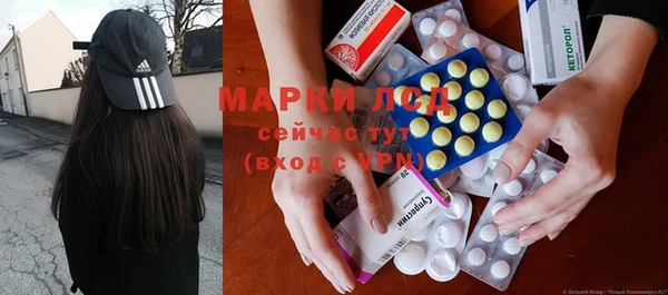 spice Елизово