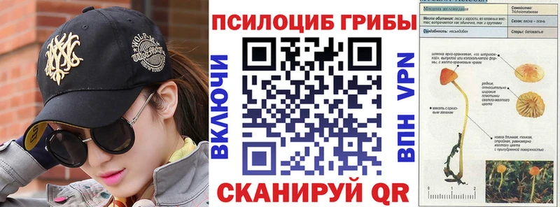 Купить где  Усолье  Псилоцибиновые грибы Psilocybe 